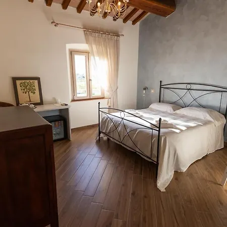Fattoria L'olmetto Alloggio per agriturismo Pisa